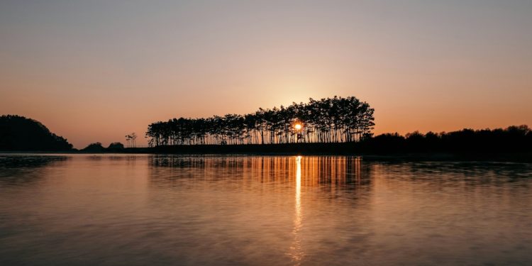 Janvier 2025, début de l'année le plus chaud jamais enregistré
