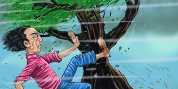 wind, storm, man, tree, hurricane, strong wind, weather, windy, outdoors, nature, caucasian, wind, storm, hurricane, hurricane, hurricane, strong wind, strong wind, strong wind, strong wind, strong wind, windy, windy, windy, windy