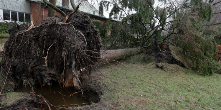 Vents violents, Météo France place la Haute Garonne et le Tarn en vigilance orange