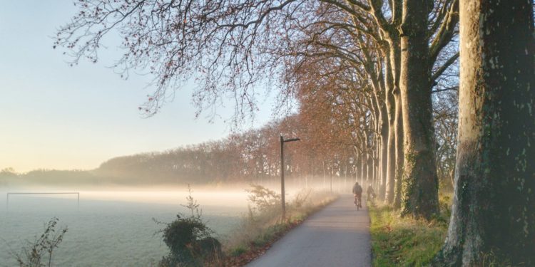 Des rafales de 70 km/h annoncées à Toulouse jeudi, le vent d'Autan devrait souffler à plus de 100 km/h dans le Lauragais et le sud Tarn