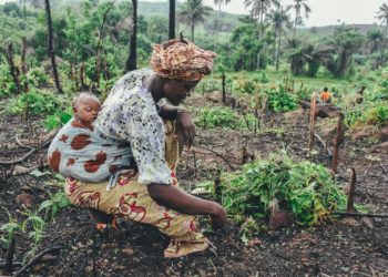 Au Burkina Faso, les enfants sont victimes de violences intenses et de violations graves de leurs droits humains perpétrées par toutes les parties au conflit, révèle un nouveau rapport de l’ONU publié cette semaine. Ce rapport, qui couvre la période du 1er juillet 2022 au 30 juin 2024, souligne que 2.483 violations graves contre 2.255 enfants ont été constatées, dont certains ont été victimes de violations multiples. Les attaques armées meurtrières contre les civils se sont intensifiées et ont gravement détérioré la situation humanitaire, avec plus de 2 millions de personnes déplacées à l’intérieur du pays, dont la plupart sont des enfants. Par ailleurs, on estime que 6,3 millions de personnes, dont 3,4 millions d’enfants, ont besoin d’une aide humanitaire, notamment en matière de nutrition, de santé, de protection et d’éducation.