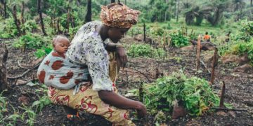Au Burkina Faso, les enfants sont victimes de violences intenses et de violations graves de leurs droits humains perpétrées par toutes les parties au conflit, révèle un nouveau rapport de l’ONU publié cette semaine. Ce rapport, qui couvre la période du 1er juillet 2022 au 30 juin 2024, souligne que 2.483 violations graves contre 2.255 enfants ont été constatées, dont certains ont été victimes de violations multiples. Les attaques armées meurtrières contre les civils se sont intensifiées et ont gravement détérioré la situation humanitaire, avec plus de 2 millions de personnes déplacées à l’intérieur du pays, dont la plupart sont des enfants. Par ailleurs, on estime que 6,3 millions de personnes, dont 3,4 millions d’enfants, ont besoin d’une aide humanitaire, notamment en matière de nutrition, de santé, de protection et d’éducation.