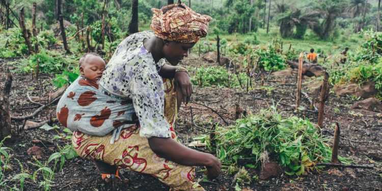 Au Burkina Faso, les enfants sont victimes de violences intenses et de violations graves de leurs droits humains perpétrées par toutes les parties au conflit, révèle un nouveau rapport de l’ONU publié cette semaine. Ce rapport, qui couvre la période du 1er juillet 2022 au 30 juin 2024, souligne que 2.483 violations graves contre 2.255 enfants ont été constatées, dont certains ont été victimes de violations multiples. Les attaques armées meurtrières contre les civils se sont intensifiées et ont gravement détérioré la situation humanitaire, avec plus de 2 millions de personnes déplacées à l’intérieur du pays, dont la plupart sont des enfants. Par ailleurs, on estime que 6,3 millions de personnes, dont 3,4 millions d’enfants, ont besoin d’une aide humanitaire, notamment en matière de nutrition, de santé, de protection et d’éducation.
