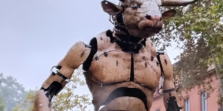 Nature, culture, sport, 6 idées de sorties pour ce premier week end de Mai à Toulouse