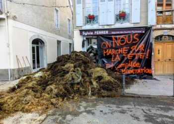 Du fumier et un coup de pression devant la permanence d'un députée LFI d'Occitanie