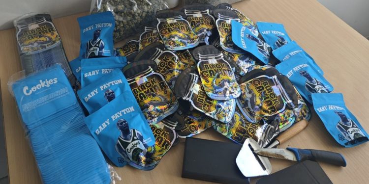 Opération de police quartier Barradels à Blagnac