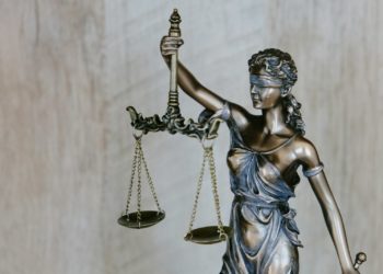 Procès Le Scouarnec ce qu'ont plaidé les avocats