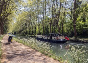 Accident le long du canal du Midi à Toulouse, une seconde victime du scooter fou est morte
