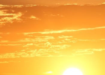 Un enfant de 2 ans décède oublié dans une voiture en pleine canicule