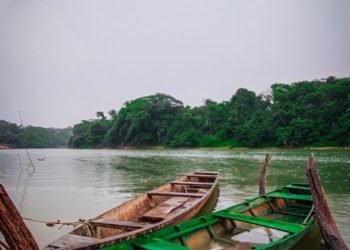 Ce film explique pourquoi la situation en Amazonie doit vous alerter