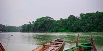 Ce film explique pourquoi la situation en Amazonie doit vous alerter