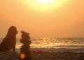 Météo France place 3 départements d'Occitanie en alerte vigilance orange Canicule