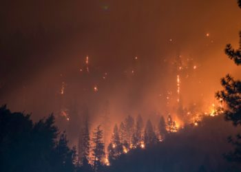 Incendie de Narbonne - 2000 hectares ravagés, des pompiers blessés