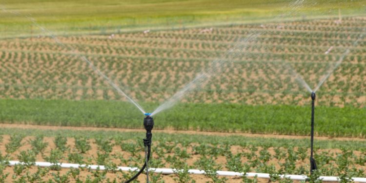 Sécheresse, nouvelles restrictions pour la consommation d'eau