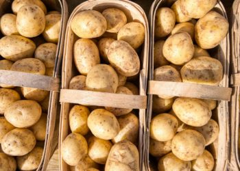 Production en hausse, prix en berne: les patates belges menacées ?