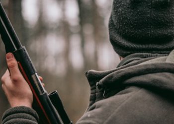 "Pour moi c'était un cochon" un cueilleur de champignons grièvement blessé