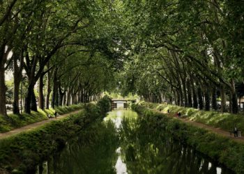 Sécheresse, interdiction aux péniches de franchir les écluses du Canal du Midi