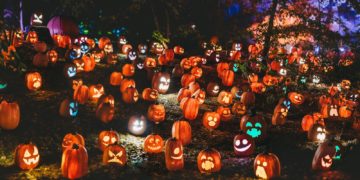 a group of pumpkins in a field