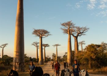 Madagascar - inquiétudes internationales après le coup d'état