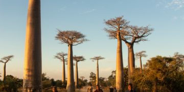 Madagascar - inquiétudes internationales après le coup d'état