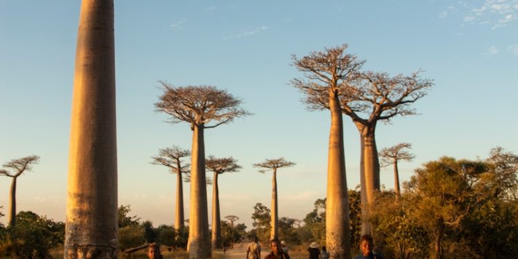 Madagascar - inquiétudes internationales après le coup d'état