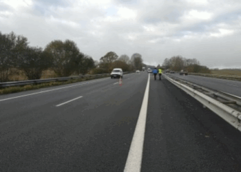 Accident mortel sur l'A64, la gendarmerie lance un appel à témoin