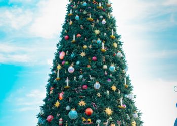 Une grue s’effondre lors de l’installation d’un sapin de Noël