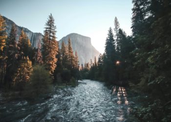 Il sauve un passager d’une voiture submergée