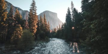 Il sauve un passager d’une voiture submergée