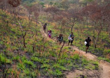 Massacres de civils en République Démocratique du Congo par un groupe proche de Daesh