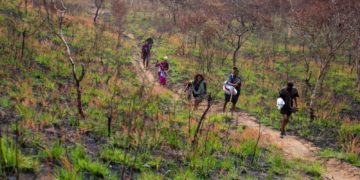 Massacres de civils en République Démocratique du Congo par un groupe proche de Daesh