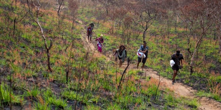 Massacres de civils en République Démocratique du Congo par un groupe proche de Daesh