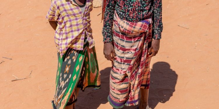 La Somalie déclare un état d'urgence à cause de la sécheresse