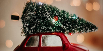 Pourquoi vous ne devriez pas glisser quelques billets sous le sapin de Noël