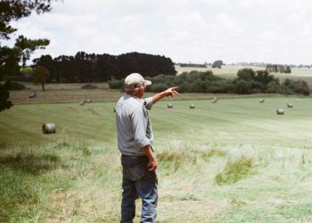Dermatose nodulaire, les Jeunes Agriculteurs pour une vaccination de toutes les Hautes Pyrénées