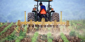 Loi d'urgence agricole : le Parlement privilégie la compétitivité