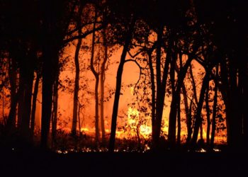 Incendies "La situation demeure très défavorable" ce dimanche