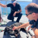 Incendies en Gironde - un chien fuit le feu en nageant dans le bassin d'Arcachon