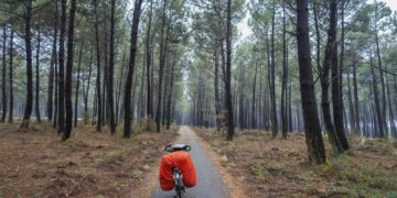 Canicule - Landes et Gironde en alerte orange : mauvais pour les incendies