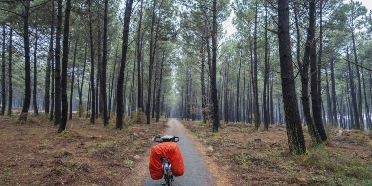 Canicule - Landes et Gironde en alerte orange : mauvais pour les incendies