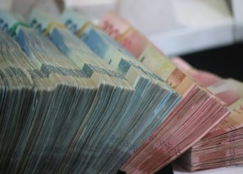 Insolite - elle cache ses billets dans un coffre fort, mangés par les termites