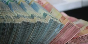 Insolite - elle cache ses billets dans un coffre fort, mangés par les termites