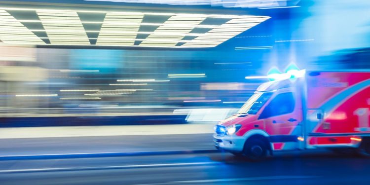 Canicules : près de 10.000 morts cet été en Europe