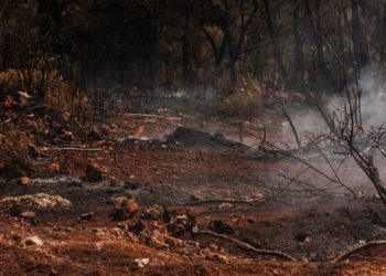 Incendies en Belgique, les fumées ressenties jusqu'en Alsace