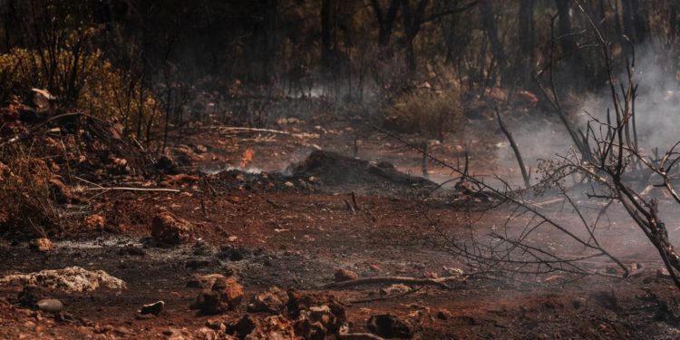 Incendies en Belgique, les fumées ressenties jusqu'en Alsace