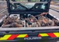 Incendies en Gironde, des centaines de munitions découvertes