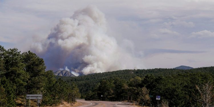Feux de forêts, l'Aude en alerte rouge