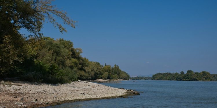 Assèchement du Danube - des épaves de navires nazis ressurgissent