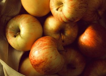 3e édition du salon des professionnel de l'agroalimentaire au MEETT de Toulouse