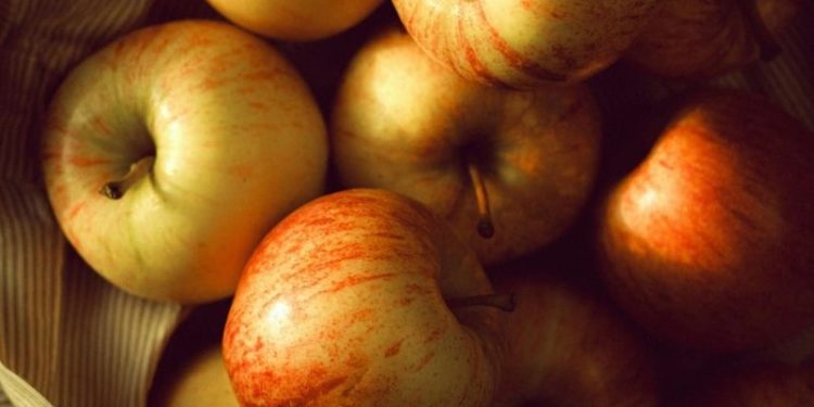3e édition du salon des professionnel de l'agroalimentaire au MEETT de Toulouse